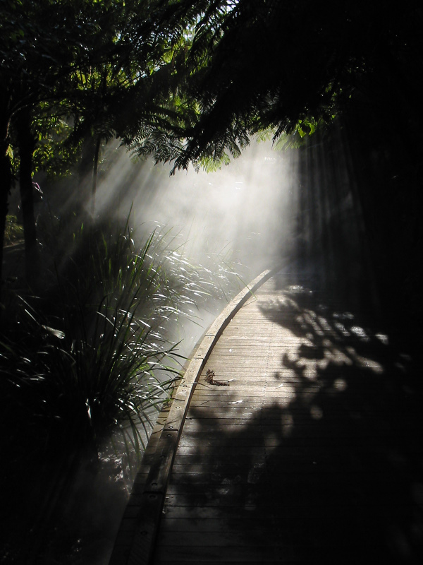 Dark path