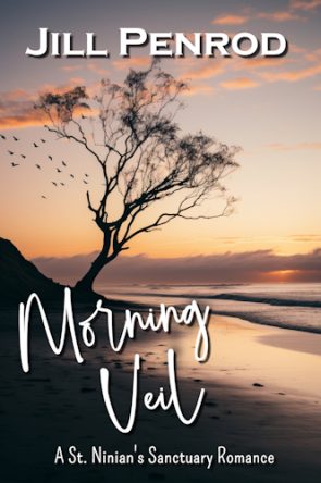 Cover of Morning Veil