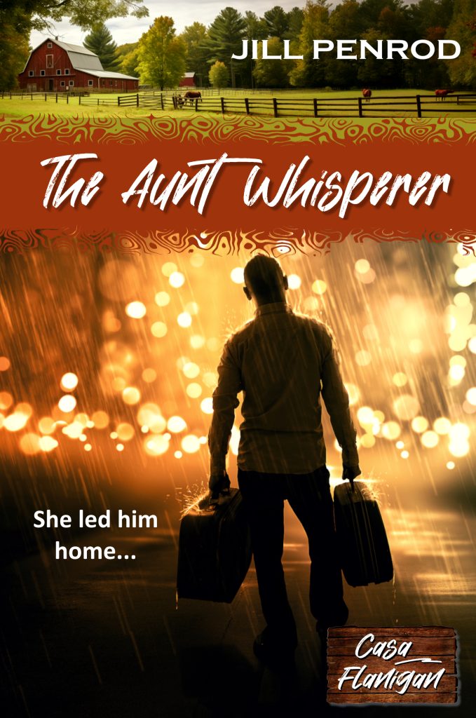 The Aunt Whisperer book cover