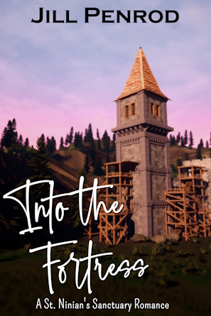 Into the Fortress book cover