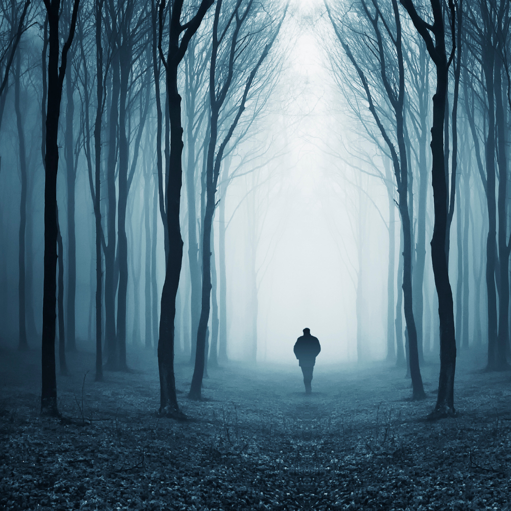A lone figure walks through a forest at night