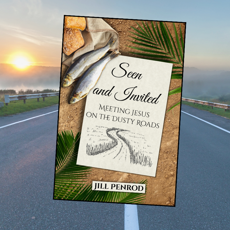 Book cover of Seen and Invited: Meeting Jesus on the Dusty Roads