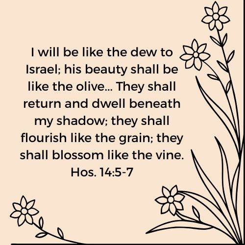 Hosea 14:5-7