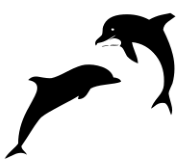 dolphins icon