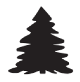 pine tree icon